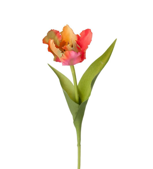Tulppaani korallinpunainen 37 cm 