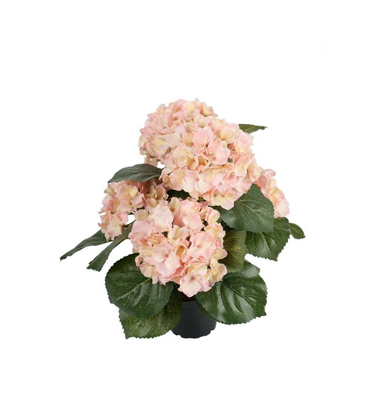 Silkkikukka Hortensia vaaleanpunainen 37 cm Mr Plant