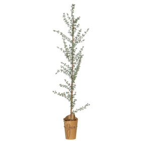 Keinotekoinen setripuu paperitelineessä