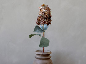 Silkkikukka Hortensia Mocca Chic Antique