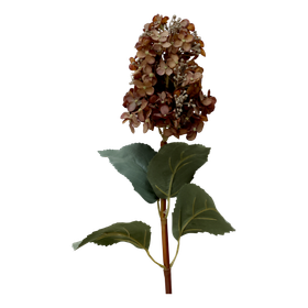 Silkkikukka Hortensia Mocca Chic Antique