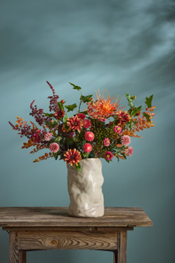 Hämähäkki krysanteemi Mr Plant