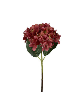 Hortensia punainen 48 cm Mr Plant