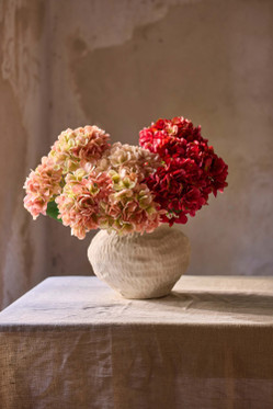 Hortensia punainen 48 cm Mr Plant