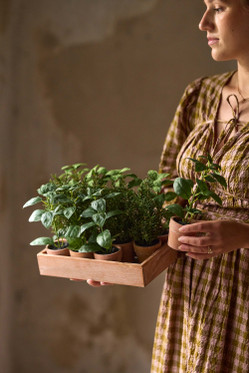 Tekokasvi yrttimix 3 erilaista Mr Plant