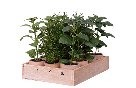 Tekokasvi yrttimix 3 erilaista Mr Plant