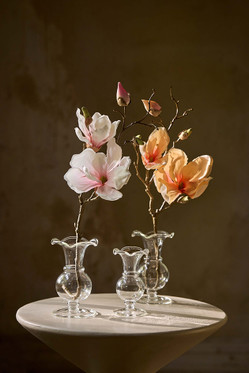 Magnolia vaaleanpunainen 45 cm Mr Plant