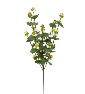 Lumimarjan oksa Mr Plant