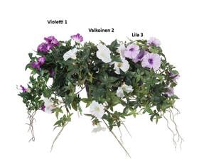 Päivän kukka Mix 45 cm Mr Plant