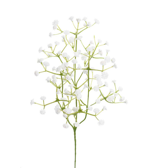 Harsokukka valkoinen 60 cm Mr Plant