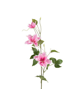 Kärhö pinkki 85 cm Mr Plant