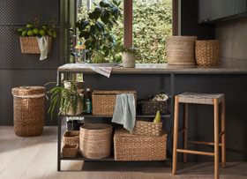 Dixie Esther seinäkori 