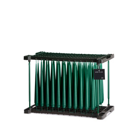 Kruunukynttilä 60 Noble Pine 2,6x24 cm Ester&Erik