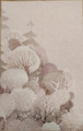 Fairytale pink matto 160x230