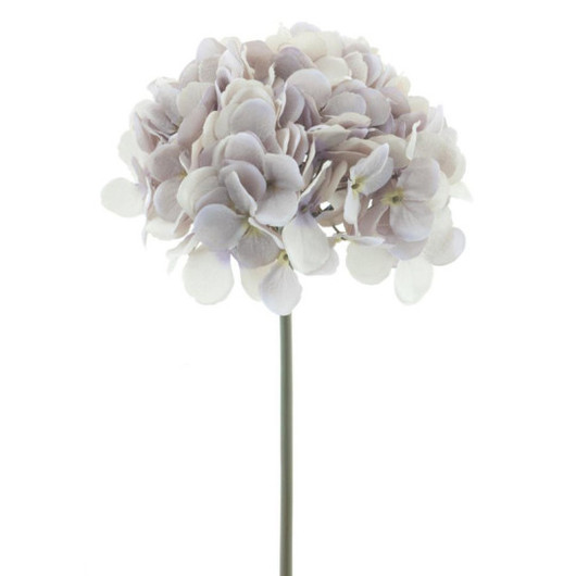 Hortensian oksa hento laventeli