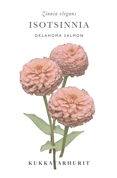 Kukkatarhurit Isotsinnia Oklahoma Salmon