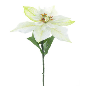 Joulutähti oksa kermanvalkoinen 60 cm