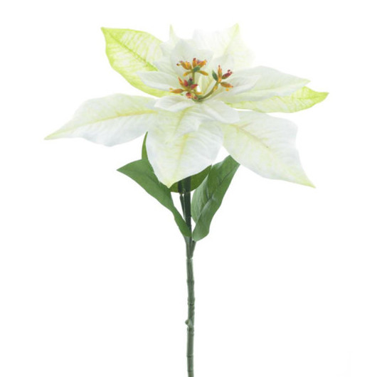 Joulutähti oksa kermanvalkoinen 60 cm