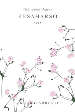 Kukkatarhurit Kesäharso Rosa