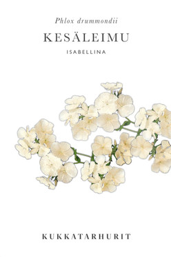 Kukkatarhurit Kesäleimu Isabellina