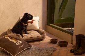 Koira-kuvioinen luomupuuvillasametti tyynynpäällinen 50x50, kivenharmaa