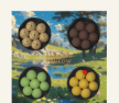 Small Selection Box SPRING 175g 