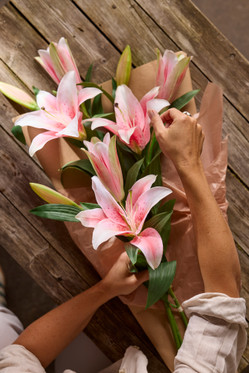 Lilja 70cm vaaleanpunainen, Mr Plant