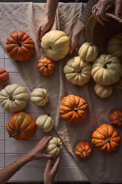 Kurpitsa koriste halkaisija 15 cm