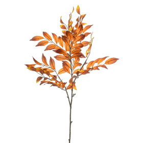 Nandina oksa oranssi 70 cm