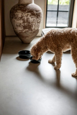 Lemmikkikulho terrakottaa koko M