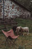 Butterfly chair with white frame