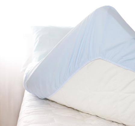 Kuminauhalakana | kampapuuvilla