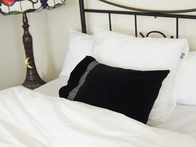 Tyynynpäällinen | Gloria sametti