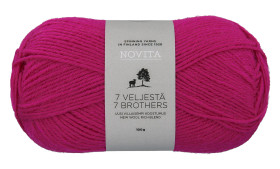 Novita 7 veljestä 100g 500 Vappu