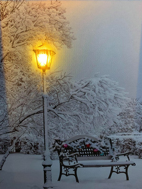 Led-taulu 20x15cm puisto