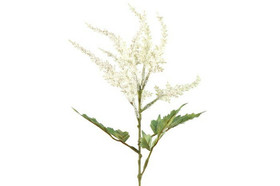 Angervo, Kailey, valkoinen