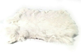 Aito kanintalja, valkoinen