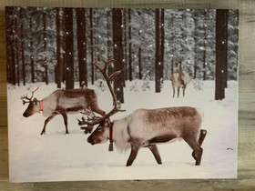 Led-taulu 30x40cm porot metsässä (ajastin)