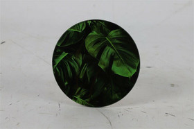 Lasinalunen peikonlehti 10x10cm set-4