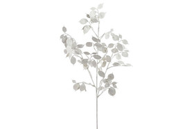 Lunaria oksa valkoinen 67cm