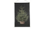 Led-kangas joulukuusi, 40x60cm, musta koko S
