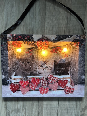 Kissa kolmoset Led-taulu 20x15cm