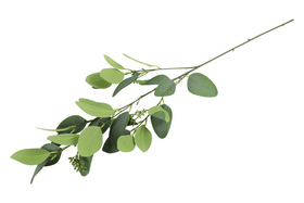 Eucalyptus vihreä 93cm