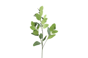Eucalyptus vihreä 93cm