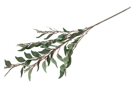 Eucalyptus vihreä 80cm