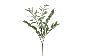 Eucalyptus vihreä 80cm