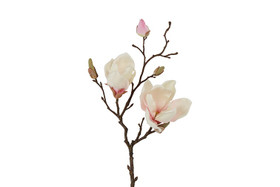 Magnolia kerma/pinkki 48cm