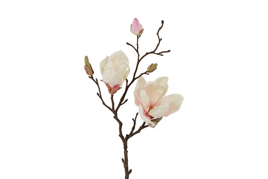 Magnolia kerma/pinkki 48cm