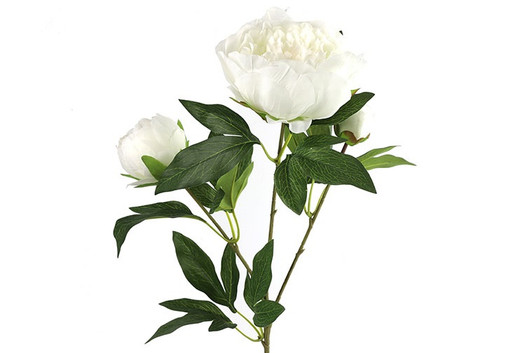 Pioninoksa, valkoinen 73cm