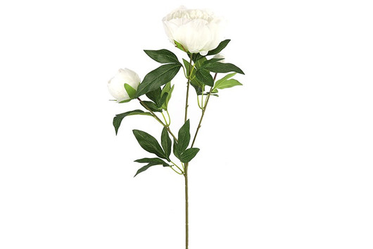 Pioninoksa, valkoinen 73cm